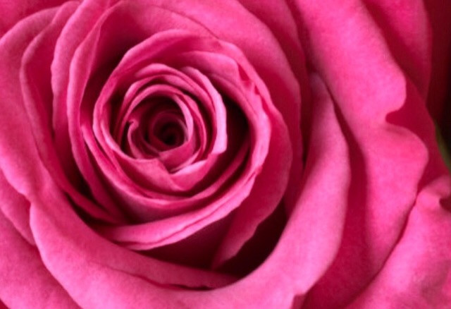 Dance Fitness! Cardio Тренування. Східні танці Харків Центр. Харьков - изображение 3