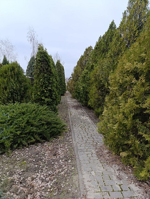 Продам великолепный дом на р. Самара, пос.Новоселовка. Новомосковськ - зображення 4