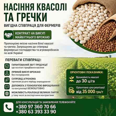 Посівмат квасолі та гречки з контрактом на викуп врожаю Чернівці