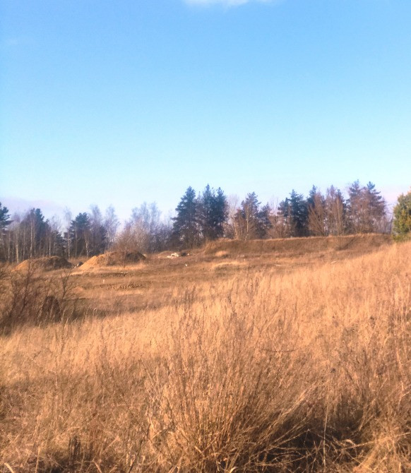 Рославичі. 16сот (можливо 8+8сот) поряд КМ "Перлина Італії", Київ-12км Київ - зображення 7