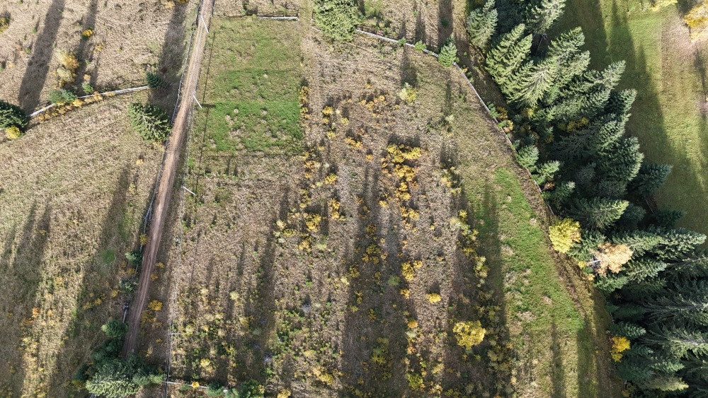 Земельна ділянка в Яблуниці 0.51 га Яремче - изображение 3