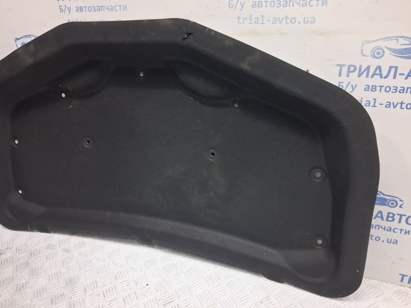 Обшивка капота Chevrolet Captiva C140 2.2 DIESEL Z22D1 2006 (б/у) Київ - зображення 3