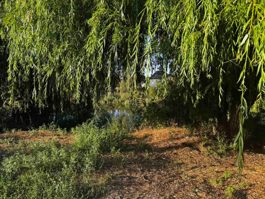 Продам дом, Днепр/Антей/Ермолаевка/Ландыш/Кильчень, район Метро/Эпицентра Дніпро - зображення 11