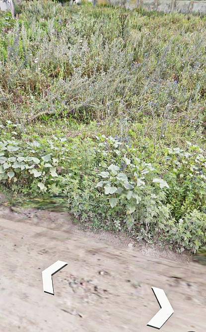 участок 10 соток в фонтанке Одеса - зображення 3