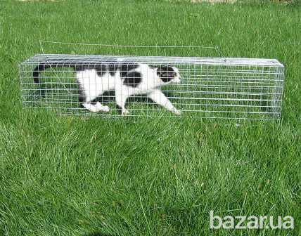 Живоловка для кота. Котоловка. Купить клетку для отлова котов Киев - изображение 3
