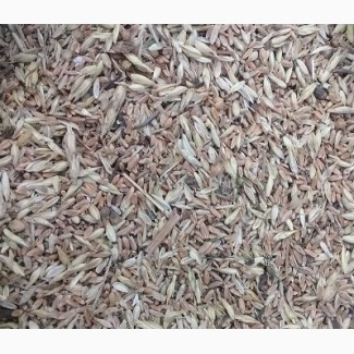 Куплю зерновідходи сільськогосподарських культур Киев - изображение 1