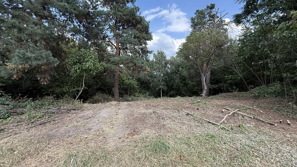 продажа участок под жилую застройку Обуховский, Плюты, 96000 $  - зображення 5