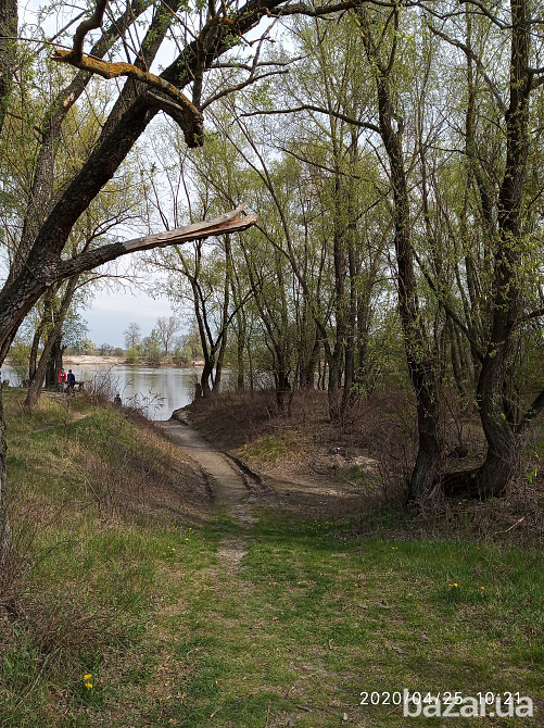Дом под Киевом возле река Десна в с.Зазимье Київ - зображення 8
