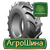 Petlas TA 110 520/70 R30 145A8/142B Киев