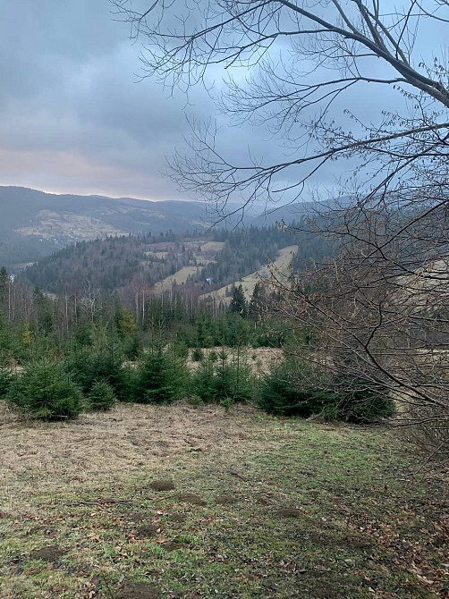 Земельна ділянка 0.35 га в Микуличині Яремче - зображення 1