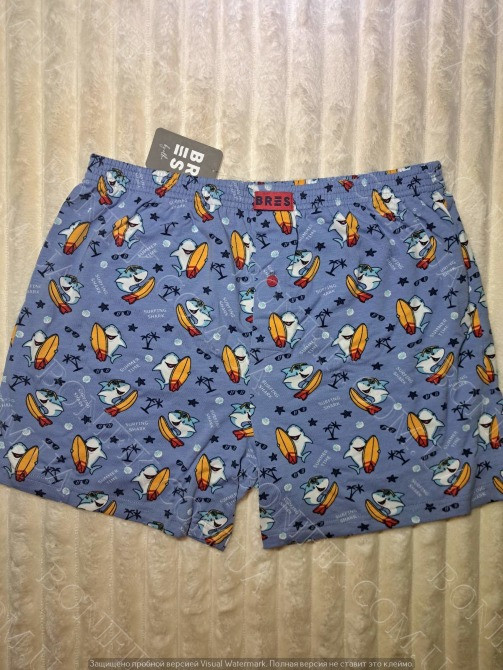 Мужские батальные трусы с рисунком "акулы на сёрфинге" (арт. MBXK 307/01/131) Кривий Ріг - зображення 1