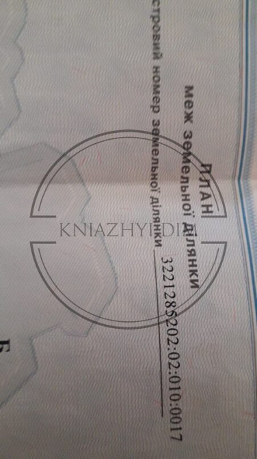 Срочная продажа участка в с. Соболевка между Летками и Леточками на реке любичь-десна Киев - изображение 7