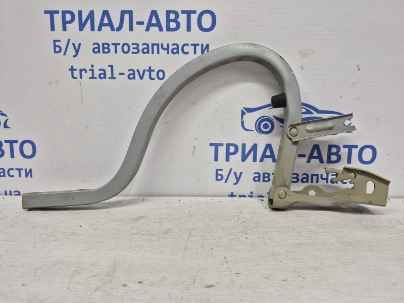 Петля крышки багажника правая Chevrolet Lacetti J200 1.8 БЕНЗИН 2004 (б/у) Киев - изображение 1