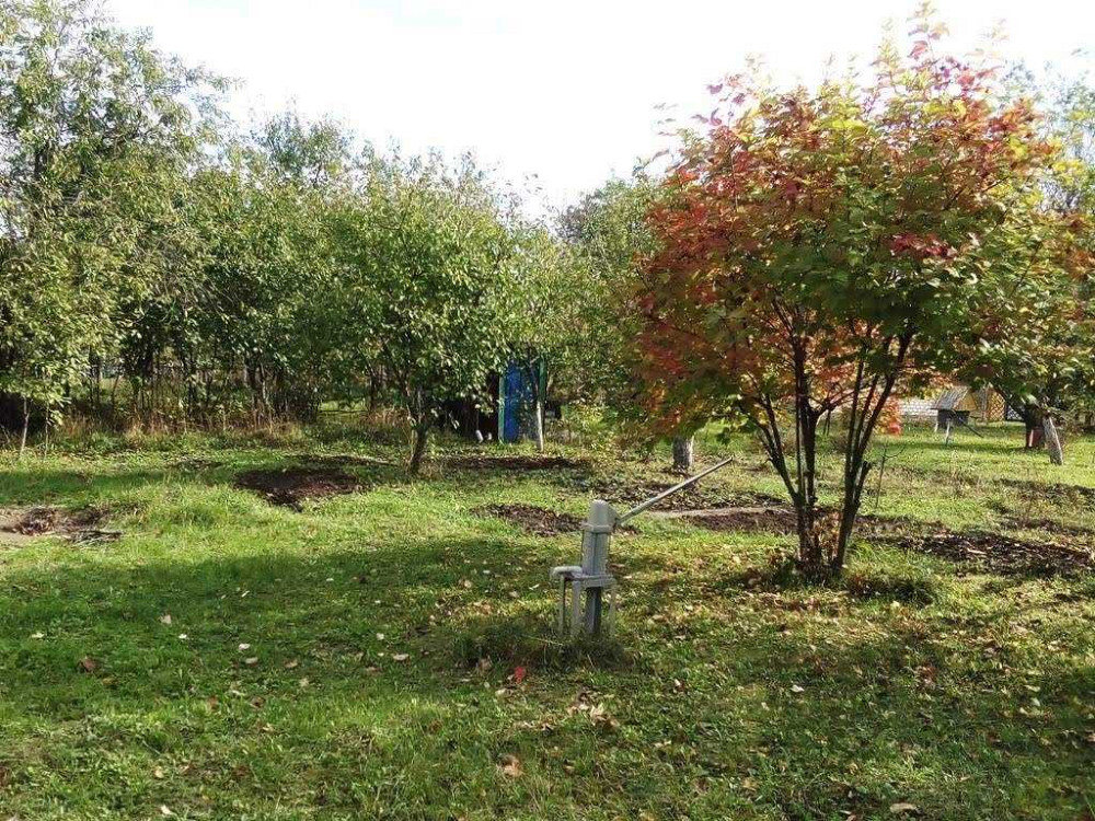 продажа 3-к дача Фастовский, Кожанка, 8500 $  - зображення 7