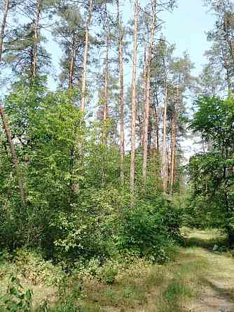 продажа участок под жилую застройку Киев, Подольский, 85000 $ Киев