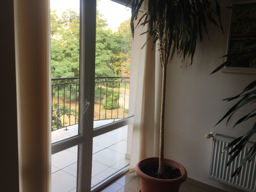 Оренда окремого поверху офісного приміщення 217,3 кв.м Київ - зображення 7