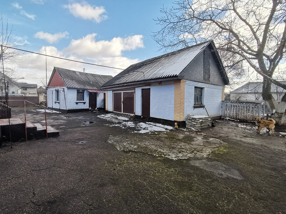 Продається два будинки на одній території для великої родини. смт Рокитне Білоцерківського району Біла Церква - зображення 8