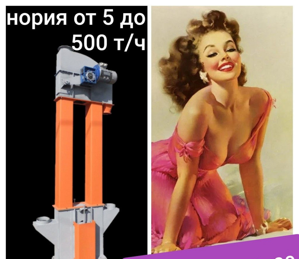 Нория ковшевая 50 т/ч Киев - изображение 1