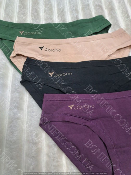 Женские трусы-слип в ассорти цветов ТМ "Obrana" (арт. 200-30/1) Кривой Рог - изображение 2