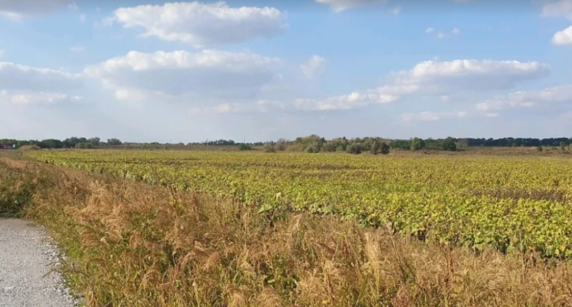 Продам земельный участок под строительство АЗС или придорожного комплекса Дніпро - зображення 8