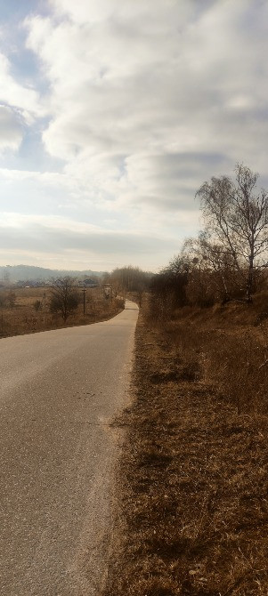 Рославичі. 16сот (можливо 8+8сот) поряд КМ "Перлина Італії", Київ-12км Київ - зображення 8