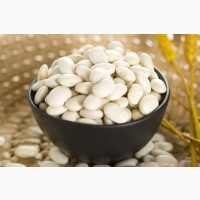 Закуповуємо квасолю для власних потреб Хмельницкий - изображение 1