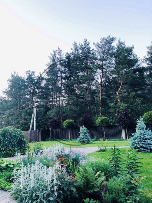 Первая сдача! Сдается в аренду дом в поселке Большая Солтановка. № 139250 Киев - изображение 3