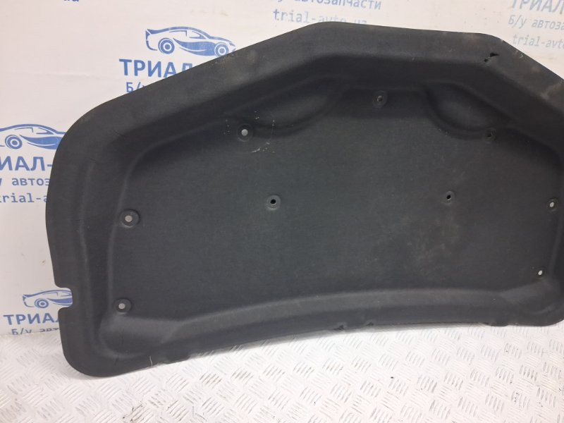 Обшивка капота Chevrolet Captiva C140 2.2 DIESEL Z22D1 2006 (б/у) Київ - зображення 2