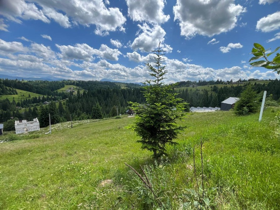 Земельна ділянка в Яблуниці (Буковель) 0.10 га Яремче - зображення 2