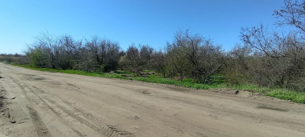 4га Александровка Лиманский район Одеса - зображення 4