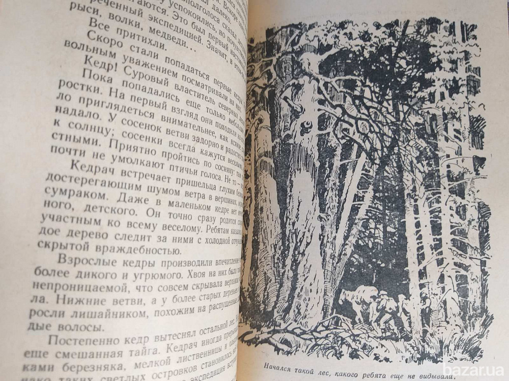 Виктор Лавринайтис Падь Золотая 1959 БПНФ рамка фантастика Запорожье - изображение 9