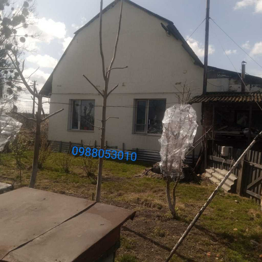 продажа 4-к дом Радеховский, Ястребичи, 49990 евро  - зображення 1