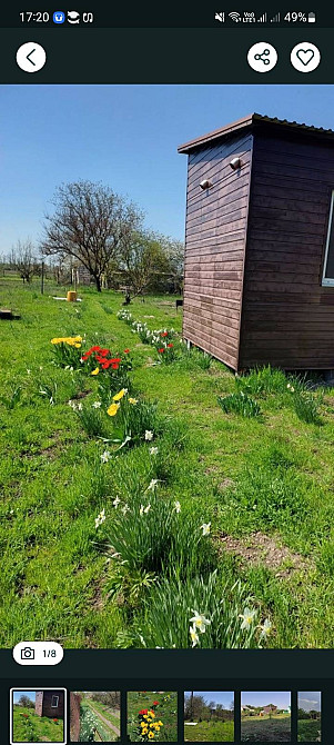 Продам дачну ділянку в с. Дачне Одеської області. 9 соток. Одеса - зображення 4