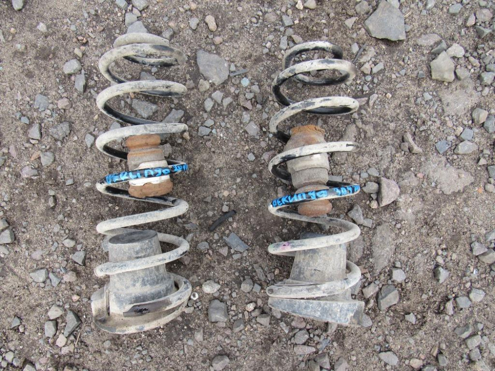 Пружина задняя Citroen Berlingo 2008-2015 Ковель - зображення 1