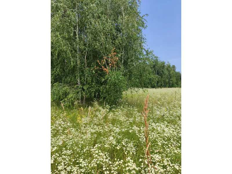 продажа земля сельскохозяйственного назначения Бородянский, Озера, 13082028 грн.  - зображення 11