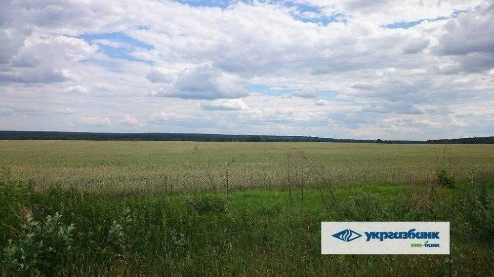 продажа земля сельскохозяйственного назначения Макаровский, Мостище, 1339000 грн.  - зображення 9