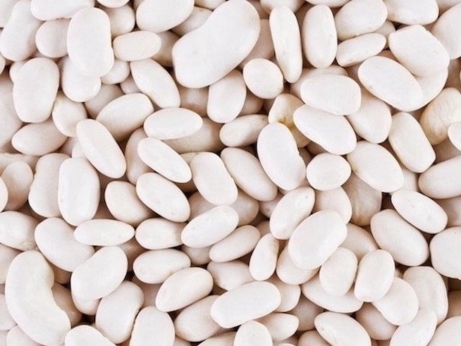 Закуповуємо квасолю білих сортів (від 10 тонн) Киев - изображение 1