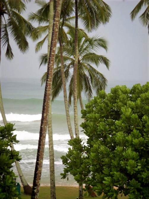 кокосова стружка Киев - изображение 1