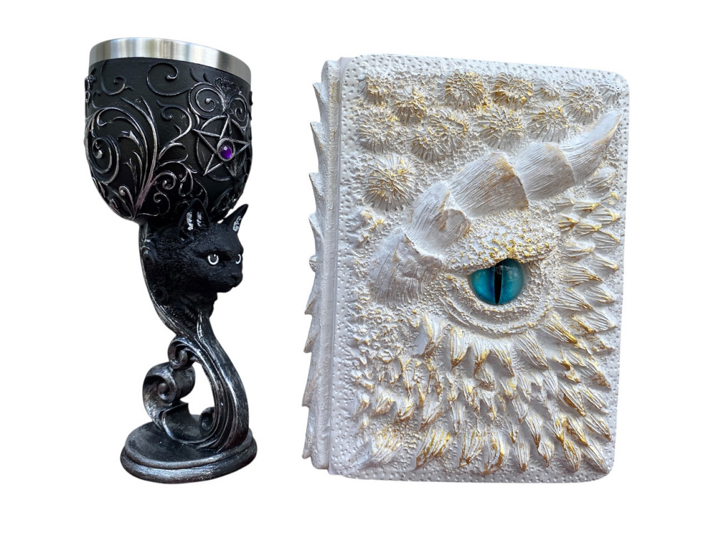 Подарочный набор Бокал 3 Кот и Блокнот 3 «Око Ледяного Хранителя» Київ - зображення 1