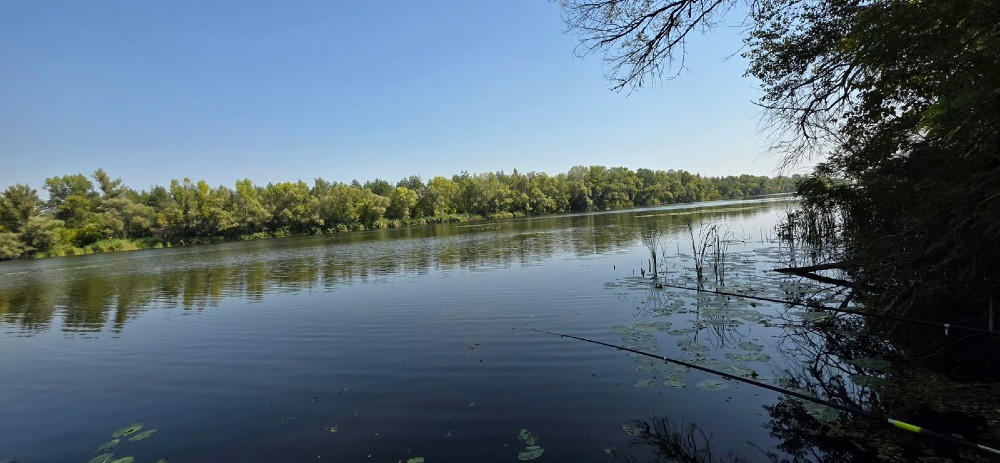 Продам 2,12 га землі в лісі, Царичанський район. Дніпро - зображення 3