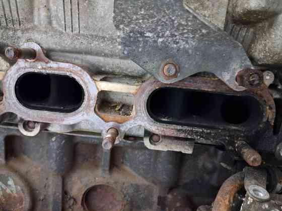 Двигатель Mitsubishi L200 2006-2015 4D56U (Арт. 69963) Киев