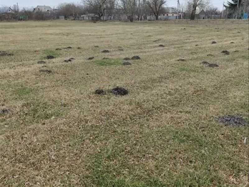 продажа земля сельскохозяйственного назначения Барышевский, Сезенков, 821400 грн.  - изображение 4