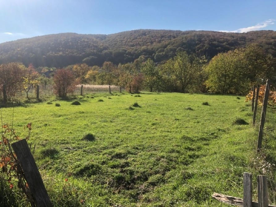 Земельна ділянка 10 сот в смт Чинадієво Мукачево - изображение 2