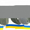 245/45 R18 Michelin Pilot Alpin PA4 100V Легкова шина Киев