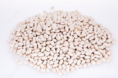 Куплю квасолю. Закуповую квасолю. Харьков - изображение 1