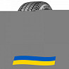 255/65 R17 Bridgestone Blizzak DM-V3 110S Позашляхова шина Киев