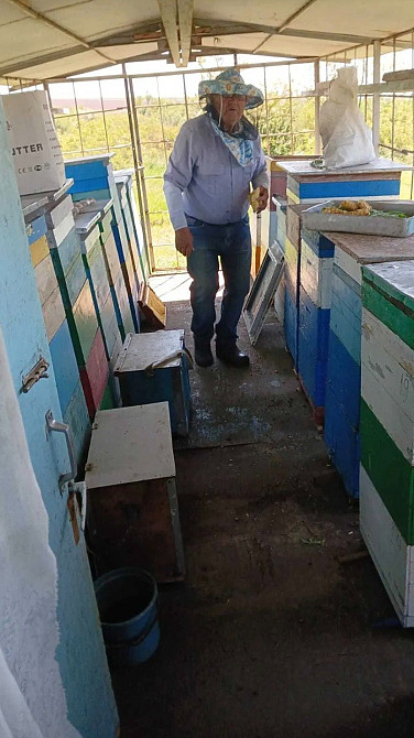 ПРОДАЄТЬСЯ ПРОФЕСІЙНИЙ КРИТИЙ БДЖОЛОПАВІЛЬЙОН (на 20 вуликів)+380959072176 Ціна 100 000 грн. Николаев - изображение 2
