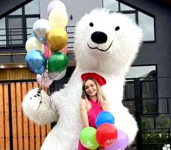 Білий ведмідь Біла Церква аніматор Фастів,Сквира,Тараща,Обухів,Жашків,Умань замовлення на свято. Біла Церква