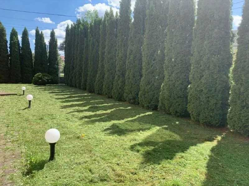 Оренда житловий будинок 311,1 кв.м., с. Раневичі,вул. Садова, буд.1  - зображення 6