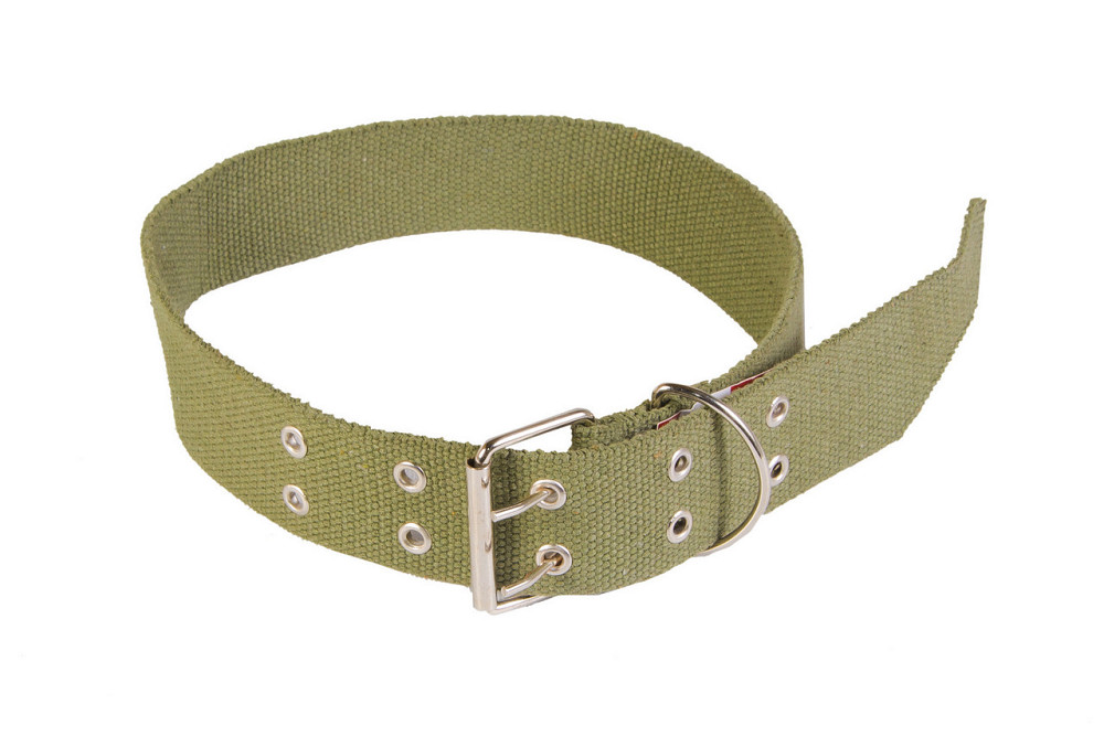 Ошейник для животных ГОСПОДАР 45х800 мм двойная пряжка 92-0214 Харків - зображення 1